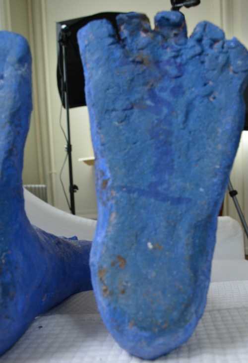 Colette Biquand, P'tit Bleu N° 3 – Image 5