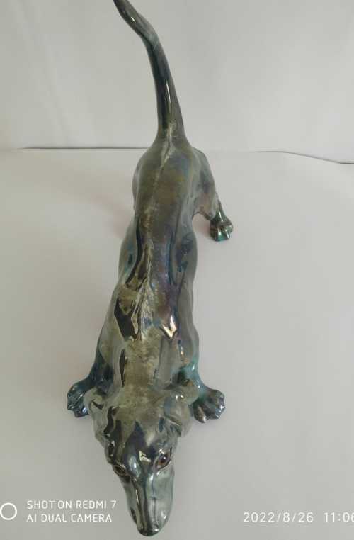 Rambervillers , Charles Virion , chien basset – Image 7