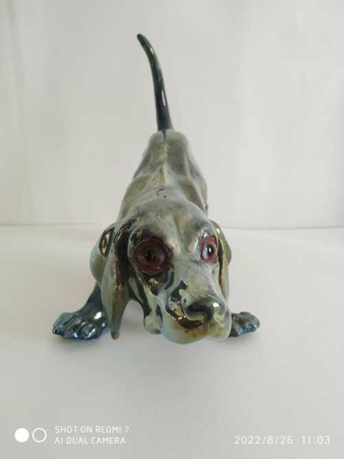 Rambervillers , Charles Virion , chien basset – Image 4