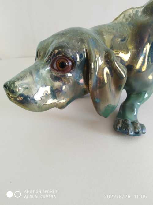 Rambervillers , Charles Virion , chien basset – Image 3