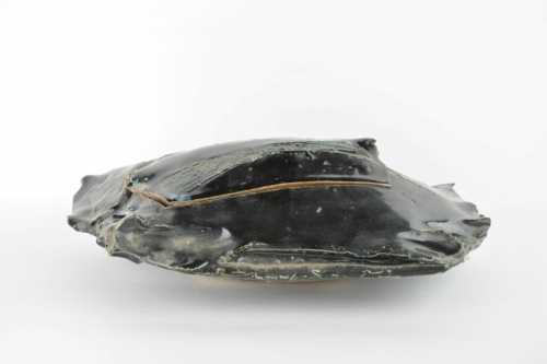 Claude Champy, boite noire – Image 2