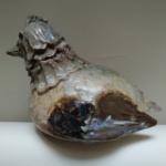 Jacky Coville , poule – Image 11