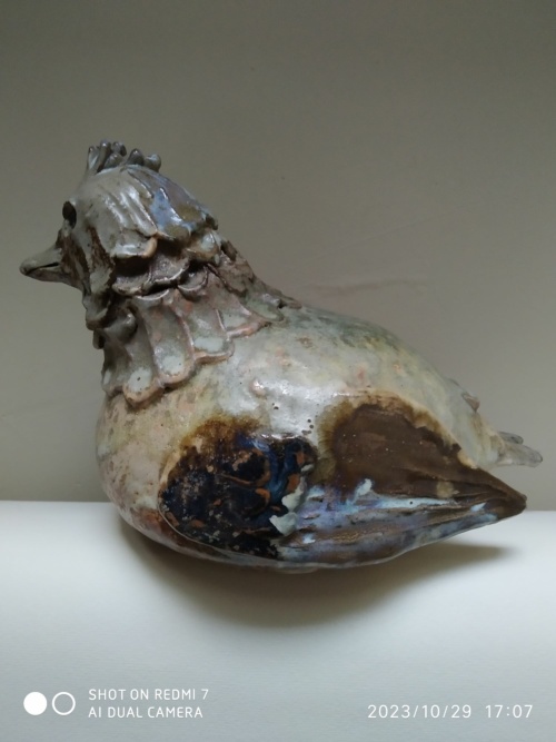 Jacky Coville , poule – Image 17