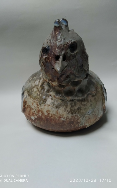 Jacky Coville , poule – Image 5