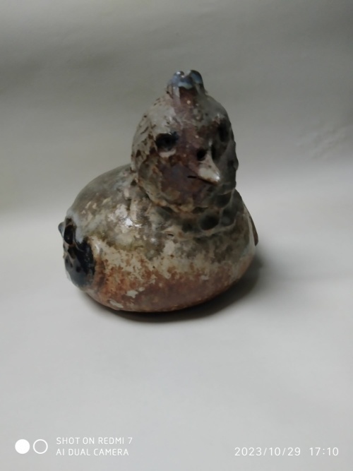 Jacky Coville , poule – Image 2
