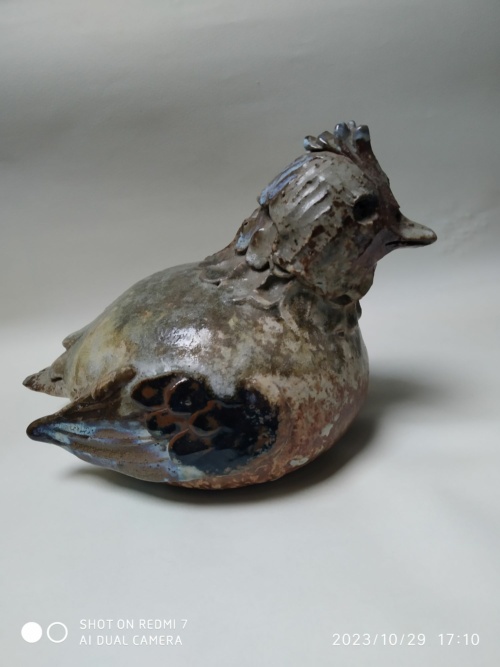 Jacky Coville , poule – Image 7