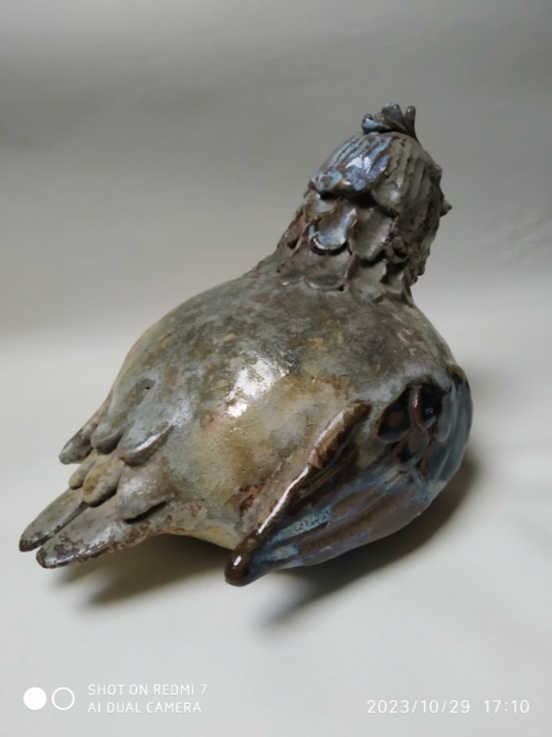 Jacky Coville , poule – Image 8