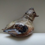 Jacky Coville , poule – Image 9