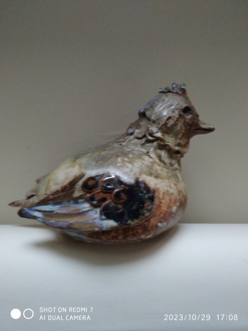 Jacky Coville , poule – Image 9