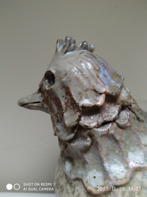 Jacky Coville , poule – Image 10