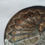 Robert Perot , plat à l'oiseau – Image 3