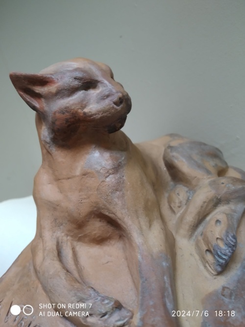 Charles Virion, chat en majesté – Image 11