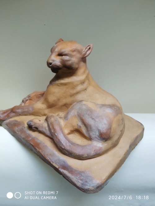 Charles Virion, chat en majesté – Image 12