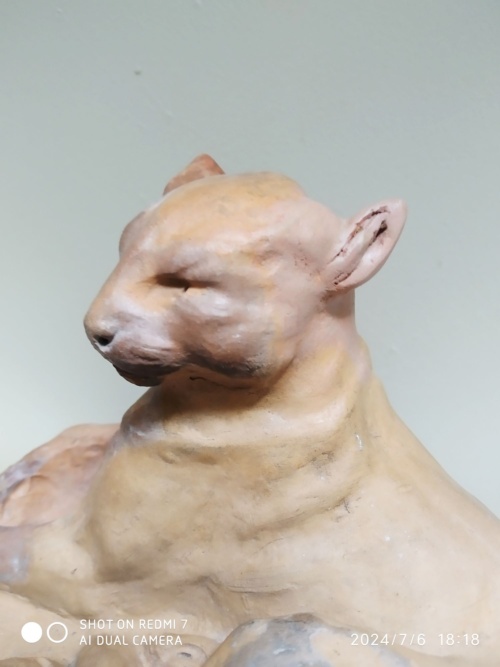 Charles Virion, chat en majesté – Image 13