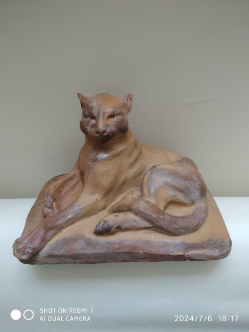 Charles Virion, chat en majesté