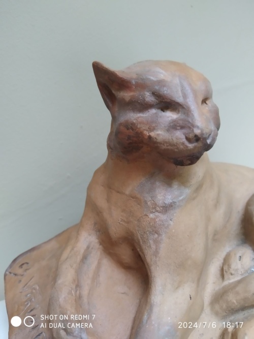 Charles Virion, chat en majesté – Image 8