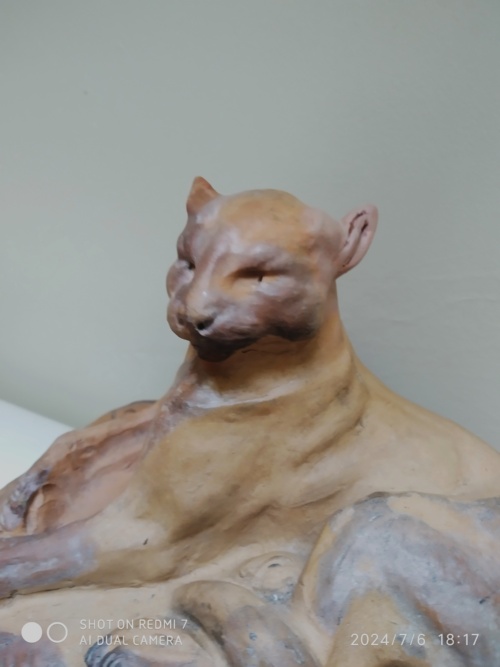 Charles Virion, chat en majesté – Image 9