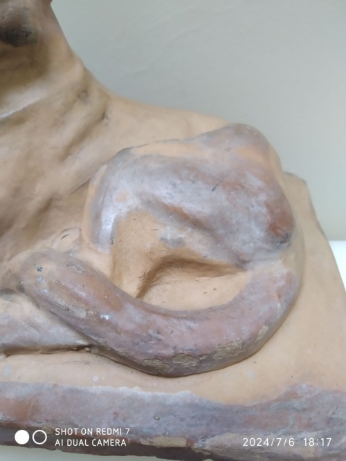 Charles Virion, chat en majesté – Image 4